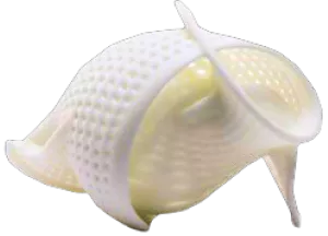 Ракушка из Formula W